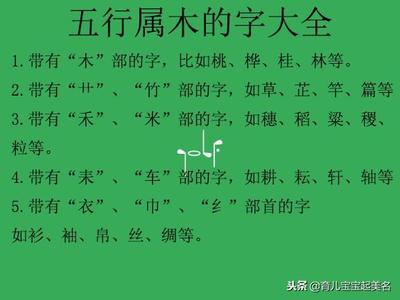 桂字属于五行属什么