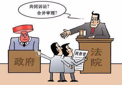 什么是共同诉讼人