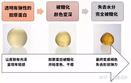 胶原蛋白会长痘痘吗