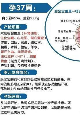 37周宝宝发育标准
