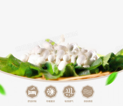 蚕丝被的制作方法
