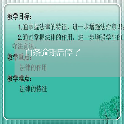 京东白条金条逾期多久上征信