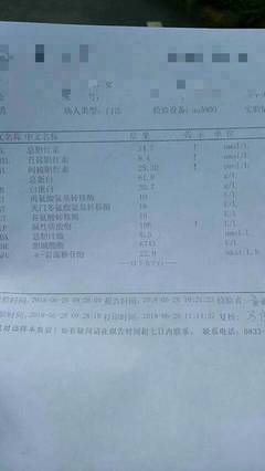 胆红霉素高是怎么回事