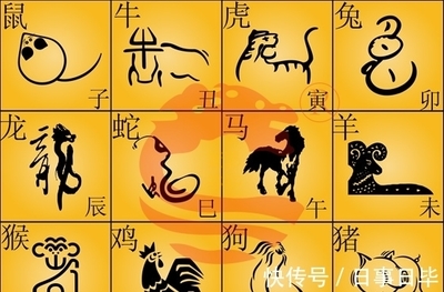 有代表什么生肖