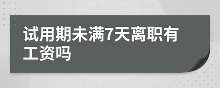7天试用期