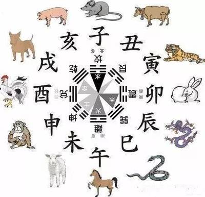 十二属相排序