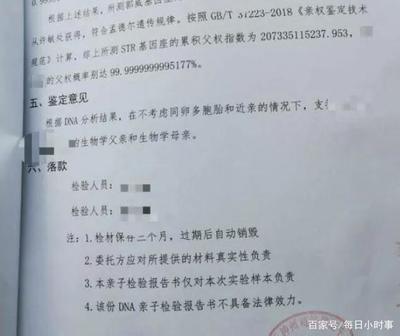 亲子鉴定报告书样本