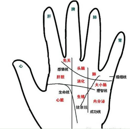 肾虚纹是怎么回事