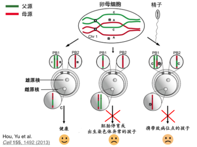 体细胞有多少基因