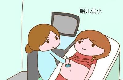 怀孕六个月查什么项目