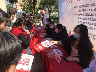 宜秀区大龙山镇举办“就业促进暖民心行动”户外招聘会