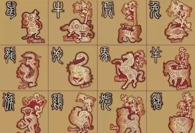 质打一生肖