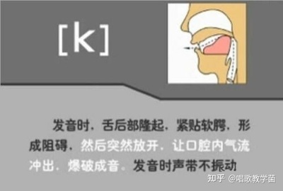 muscle发音易错点