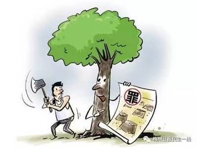 非法占用农用地罪立案标准