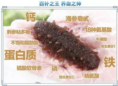 刺参的吃法