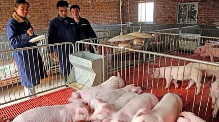 办养殖场需要哪些手续