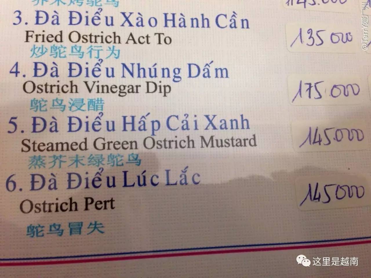 Mustard 翻译