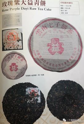 96紫大益