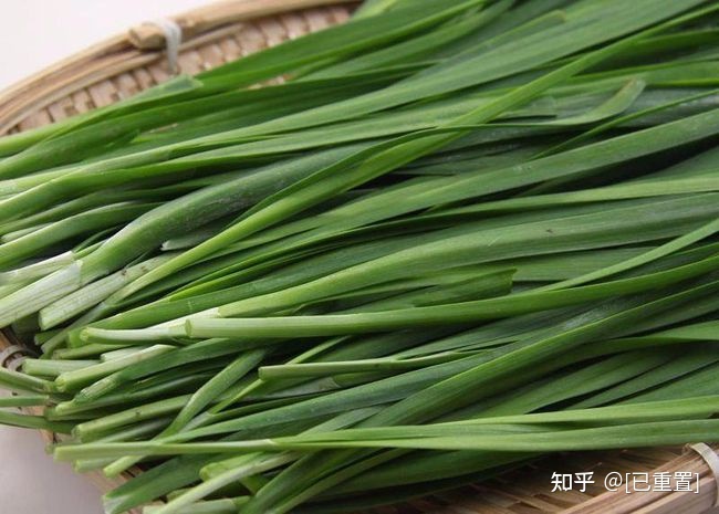 韭菜宝宝能吃吗