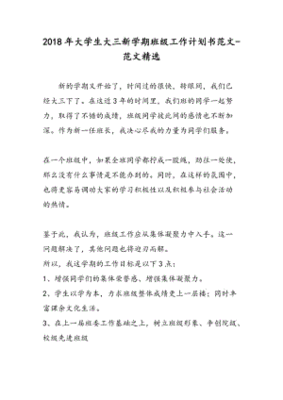 大学生计划书500字大三