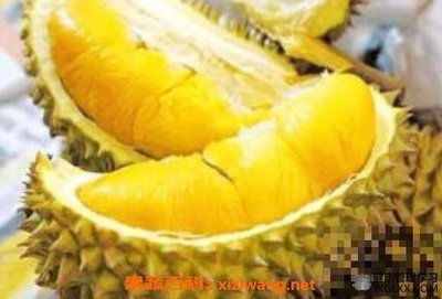 榴莲对孕妇有什么好处