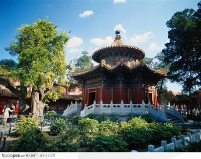 御花园图片