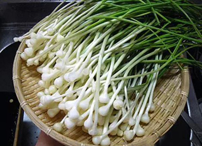 野蒜的吃法