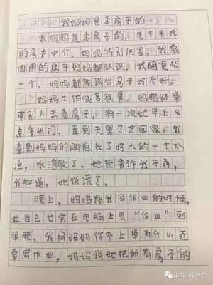 我眼中的北京作文