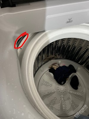 洗衣机进老鼠