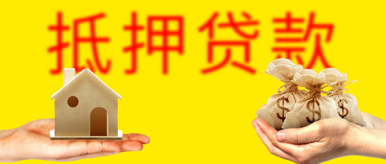 农村信用社能贷款吗