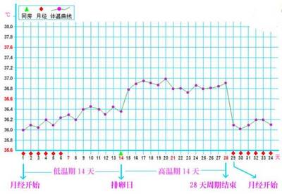 体温多少算是排卵后高温