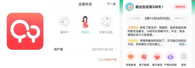 怀孕了用什么软件