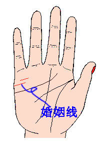 男手相婚姻线大全图解