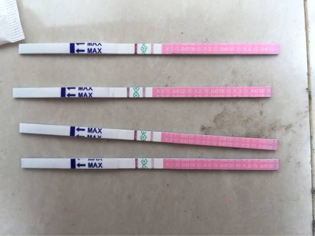 排卵后12天能测出怀孕吗