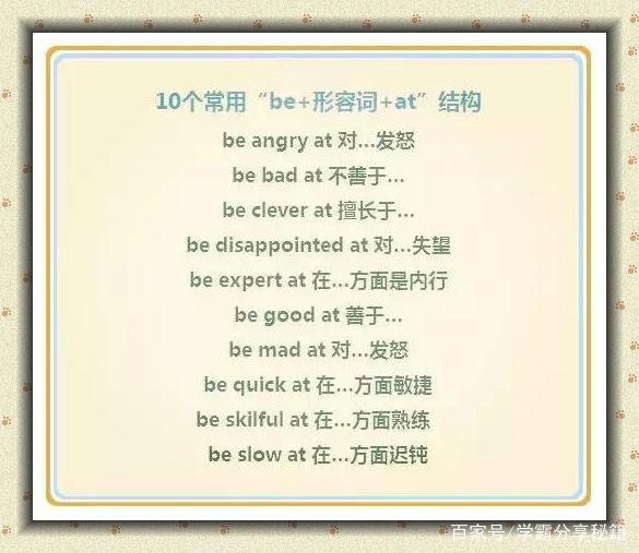 expert短语