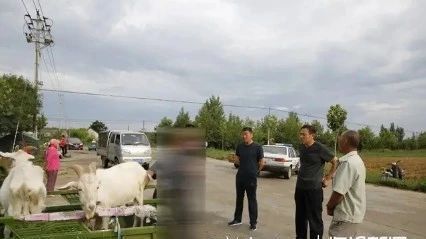开车撞死羊后逃构成犯罪吗