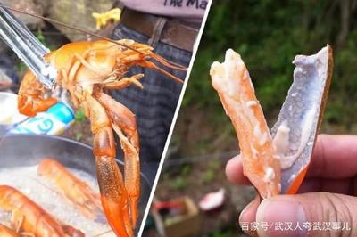 澳龙孕妇可以吃吗