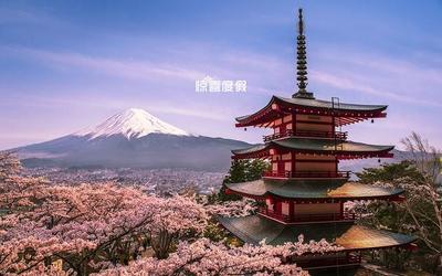 冬季日本东京旅游攻略