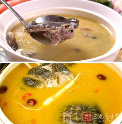 咳嗽可以吃甲鱼吗