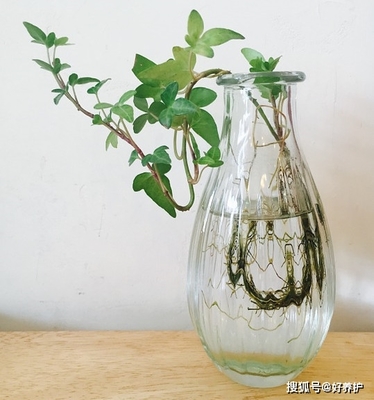 瓶子怎么装饰