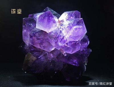 紫色有什么寓意