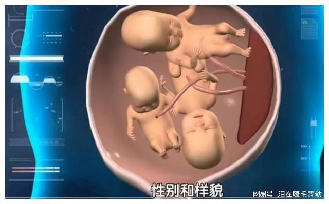 怀孕酮体高怎么办