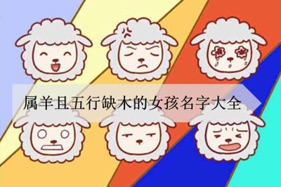 属羊的女孩取什么名字好