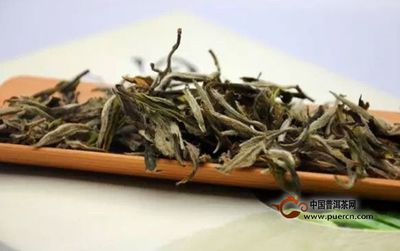 白茶鉴别