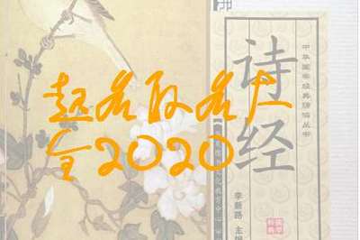 申姓取名