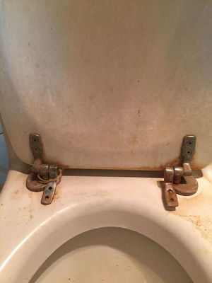 老式马桶