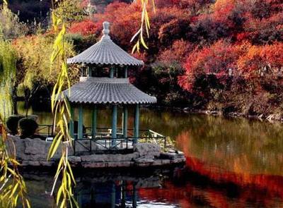 红叶谷旅游