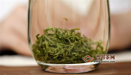 白茶哪个好喝