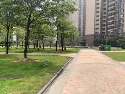 新都怎么样