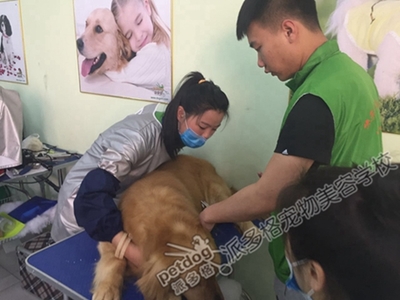 附近有没有美容学校